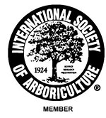 isa